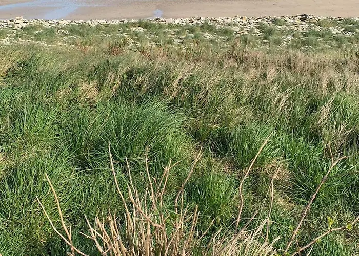Bienvenue Chez Nous Διαμέρισμα Ver-sur-Mer